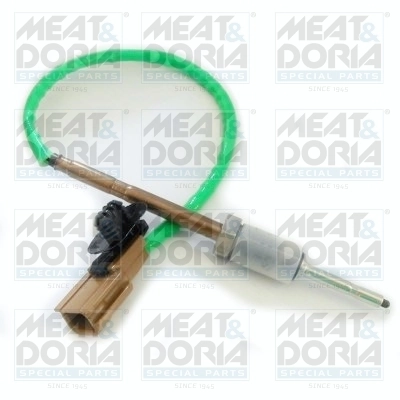 Sensor, exhaust gas temperature